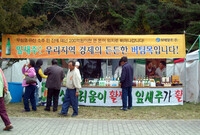 제10회 장성 백양단풍축제
