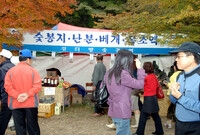 제10회 장성 백양단풍축제