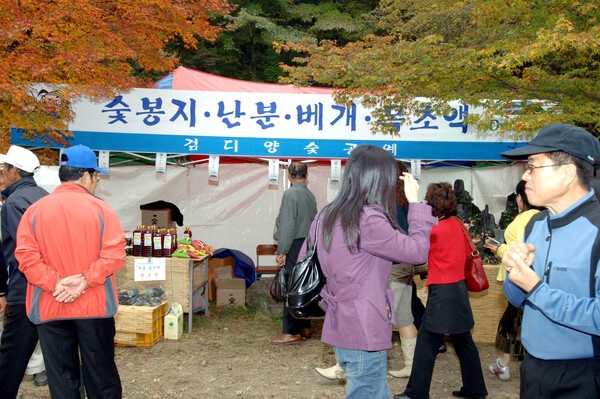 제10회 장성 백양단풍축제