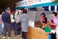 제10회 장성 백양단풍축제