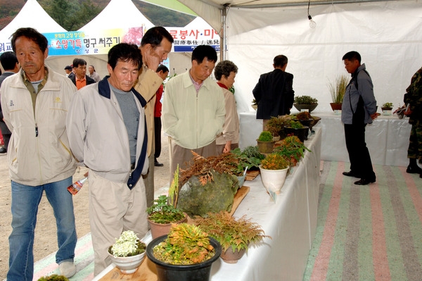 제10회 장성 백양단풍축제