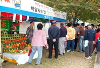 제10회 장성 백양단풍축제
