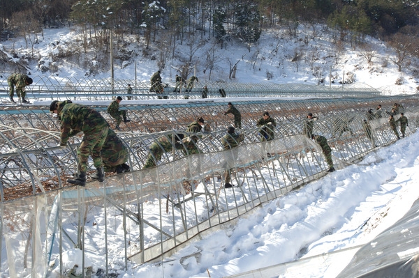 북일면 폭설(눈) 피해현장 및 시설하우스 피해복구