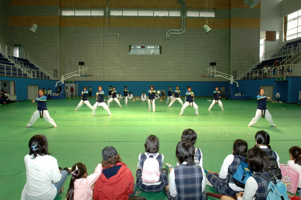 제8회홍길동축제(태권도 시범)