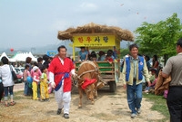 제8회홍길동축제(소달구지체...
