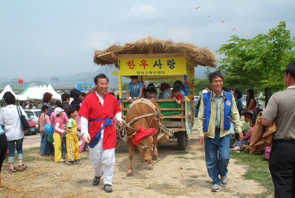 제8회홍길동축제(소달구지체험)