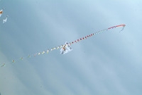제8회홍길동축제(연날리기)