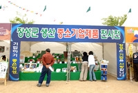 제8회홍길동축제(중소기업제...