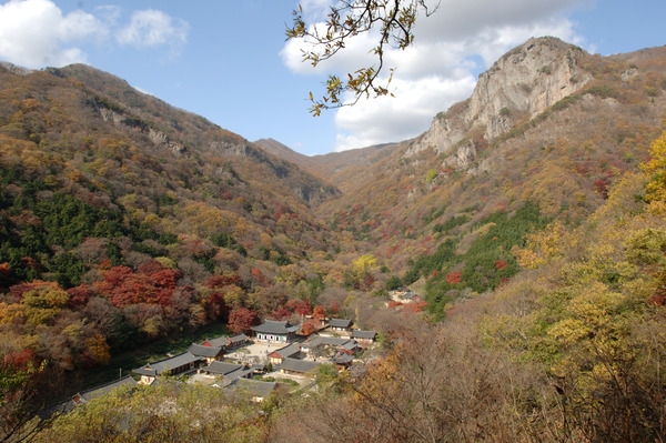 2006년 백양사 가을 단풍 전경