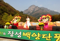 제11회백양단풍축제(전통무...