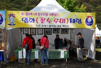 제11회백양단풍축제(압화 ...