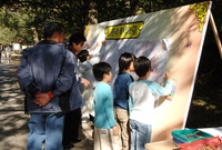 제11회백양단풍축제(나만의...