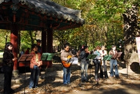 제11회백양단풍축제(단풍숲...