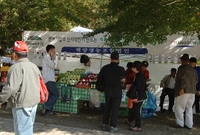 제11회백양단풍축제(다다솔...