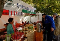 제11회백양단풍축제(북하특...