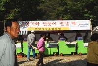 제11회백양단풍축제(백양단...