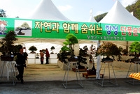제11회백양단풍축제(장성 ...