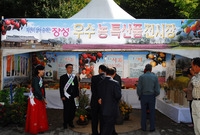 제11회백양단풍축제(장성 ...