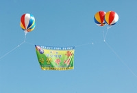 제11회백양단풍축제(축제프...