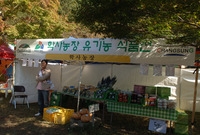 제11회백양단풍축제(학사농...