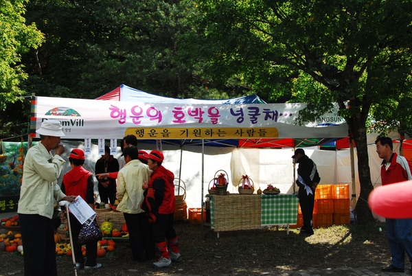 제11회백양단풍축제(행운의 호박을 넝쿨채~)