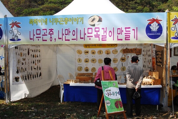 제11회백양단풍축제(나무곤충 나만의 나무목걸이만들기)