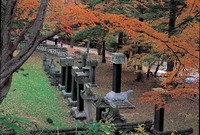 장성 관광화보(백양사)