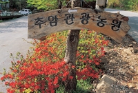 장성 관광화보(추암관광농원...