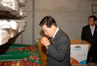 삼서면 사과농장 방문