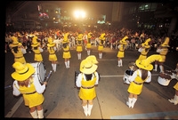 장성 관광화보(백양단풍축제...