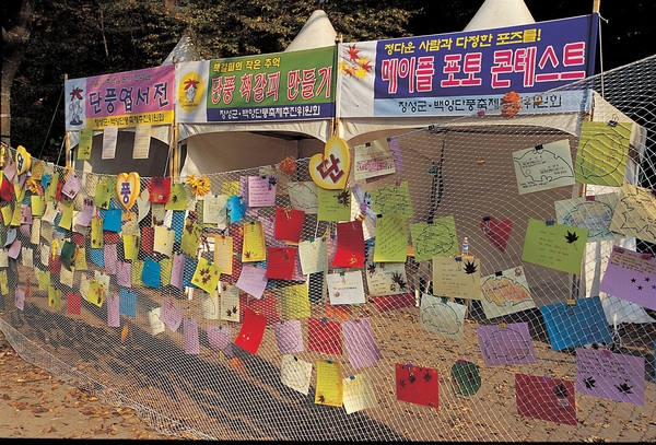 장성 관광화보(백양단풍축제 단풍엽서전)