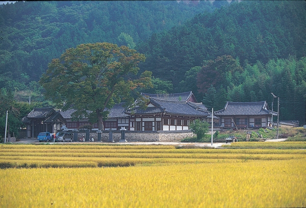 장성 관광화보(장성향교)