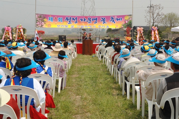 제1회 진원 월정리 자운영 꽃 축제