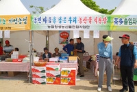 제9회 장성 홍길동 축제