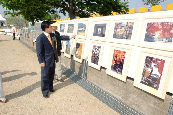 제9회 장성 홍길동 축제