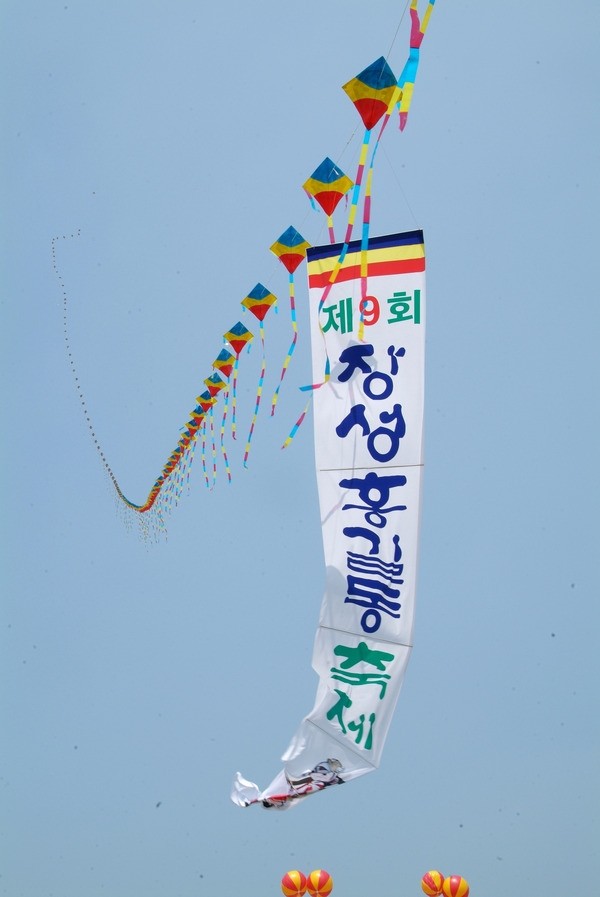 제9회 장성 홍길동 축제
