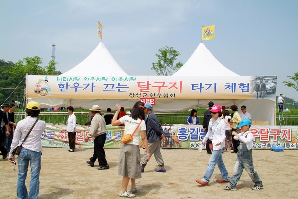 제9회 장성 홍길동 축제