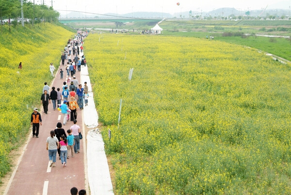제9회 장성 홍길동 축제