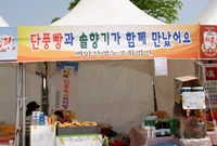 제9회 장성 홍길동 축제