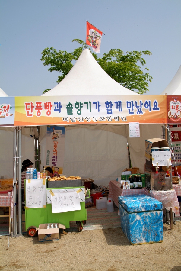 제9회 장성 홍길동 축제