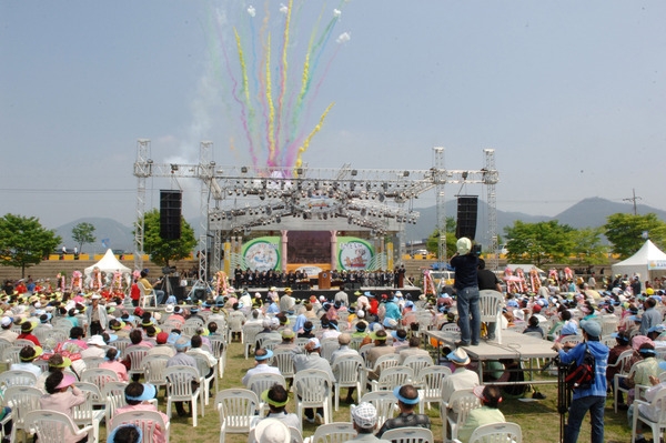제9회 장성 홍길동 축제