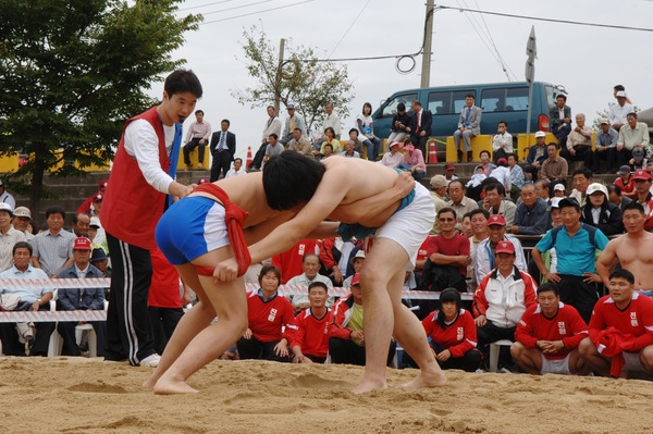 제30회 군민의날 및 제21회 군민 체육대회