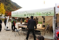 제12회 백양단풍축제