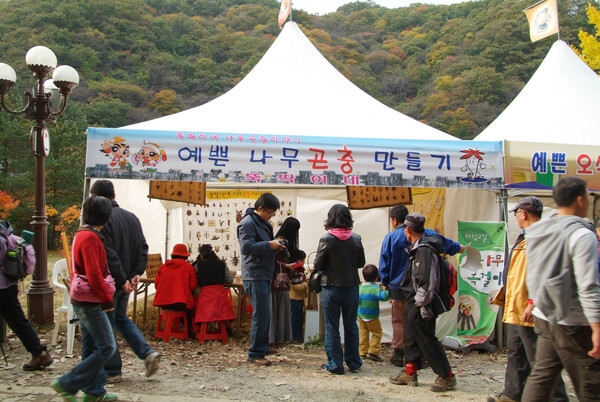 제12회 백양단풍축제