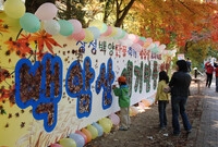 제12회 백양단풍축제