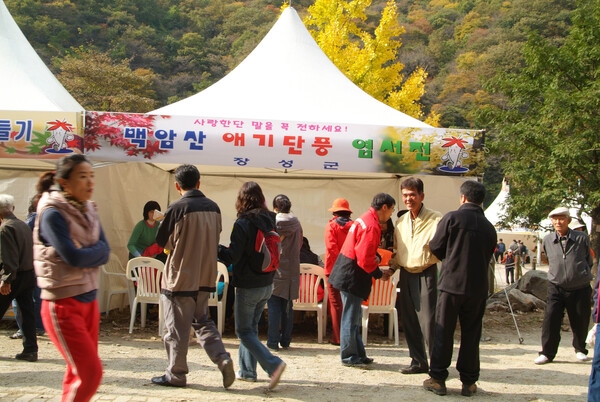 제12회 백양단풍축제