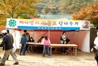 제12회 백양단풍축제