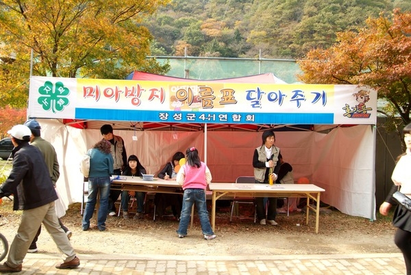 제12회 백양단풍축제