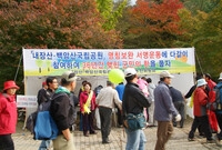 제12회 백양단풍축제