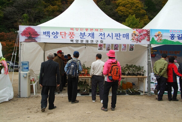제12회 백양단풍축제